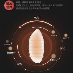 双喜旺家电饭锅 5L DF-040SJYR16