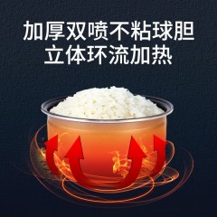 双喜珍品迷你智能电饭煲2L DF-020LDFR01
