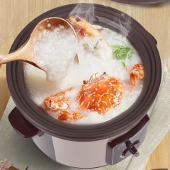 双喜文火养生电炖锅4.5L SXDD-45ZT01