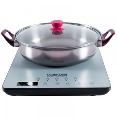 双喜 瑞辰套装电磁炉3.1kg DC-22FM05
