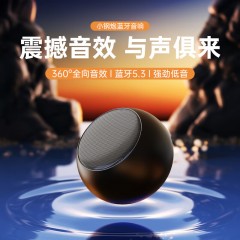 sayrelances塞尔兰斯 蓝牙音箱低音炮 DZ-017