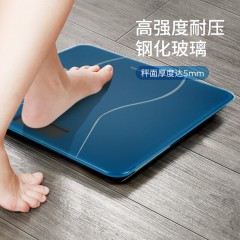 西屋（Westinghouse）体脂秤体重秤  T101