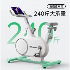西屋（Westinghouse）动感单车WB13D-plus（升级款）
