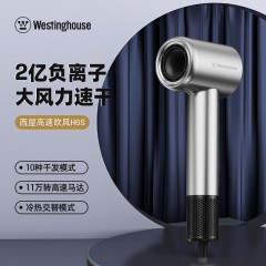西屋（Westinghouse） 高速吹风机  H6S