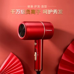 西屋（Westinghouse） 电吹风 H101