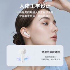 BACHJOHANN巴赫约翰 真无线蓝牙耳机 T1