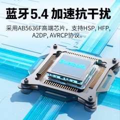 BACHJOHANN巴赫约翰 多功能彩屏主动降噪蓝牙耳机 T8