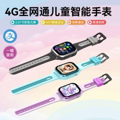 sayrelances塞尔兰斯 全网通4G智能手表 TN001-X9