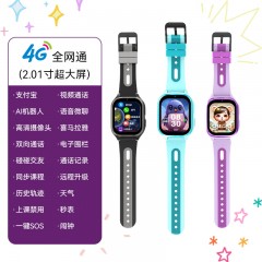 sayrelances塞尔兰斯 全网通4G智能手表 TN001-X9