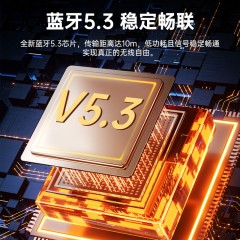 sayrelances塞尔兰斯 蓝牙音箱低音炮 DZ-017