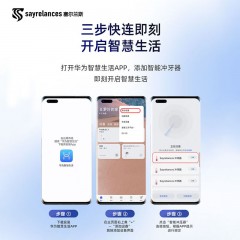 sayrelances塞尔兰斯 电动牙刷礼盒套装 S2 冲牙器+电动牙刷礼盒套装