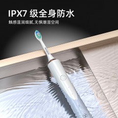 西屋（Westinghouse）声波电动牙刷家用充电式软毛牙刷 WT0301
