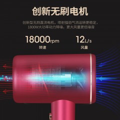 西屋（Westinghouse）负离子电吹风机  H106