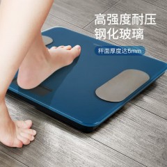西屋（Westinghouse）体脂秤健康电子秤体重秤 T201