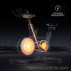 西屋（Westinghouse）动感单车WB13D-plus（升级款）