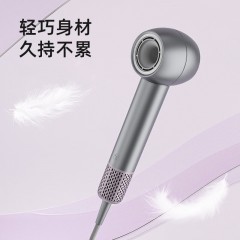 西屋（Westinghouse） 高速吹风机H9