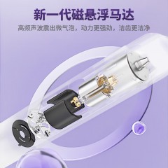 西屋（Westinghouse）电动牙刷 WT-0506
