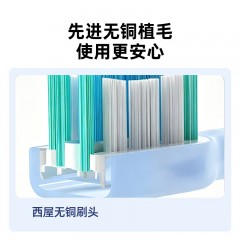 西屋（Westinghouse）电动牙刷  X1