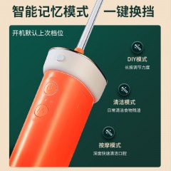 西屋（Westinghouse）冲牙器  C101