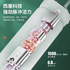 西屋（Westinghouse）冲牙器  C101