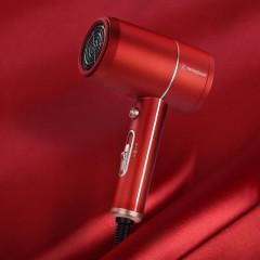 西屋（Westinghouse） 电吹风 H101