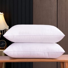 六十知棉 柔肤舒眠对枕（2只）48*74cm