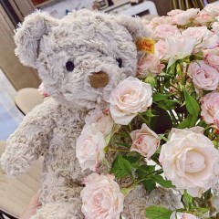 史戴芙（Steiff) 好朋友系列-泰迪熊哈尼 中号38cm