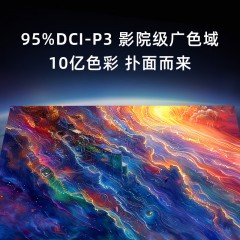 海信（Hisense） 100英寸4K超清电视机 100XP3CE