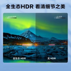 TCL  55英寸4K超高清画质液晶电视机 55G60E