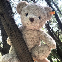 史戴芙（Steiff) 好朋友系列-泰迪熊哈尼 中号38cm