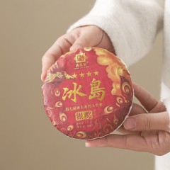 宏裕 纳福商务10头茶盘旅行套装 JHY-CJ-111
