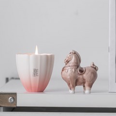 宏裕 一马当先烛韵植萃香薰蜡烛杯香氛居家礼盒套装 HYXQ1095