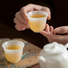 宏裕  玉韵纳福7头茶壶4杯马到茶成礼盒套装 HYXQ1108