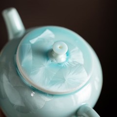 宏裕 东方茶礼青云驹6头茶壶主人杯2杯大红袍礼盒套装 HYXQ1067