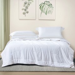 富安娜(FUANNA)  雅悦蚕丝夏被203*229cm(400g)