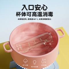 Diller迪乐贝尔 双饮随行杯 520ML D2606-2（吸管+直饮）