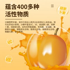 杞果小圣 NFC有机小果沙棘原浆300ML 30ml*10袋/盒