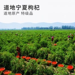 杞果小圣 宁夏中宁红枸杞580G精品礼盒 580g（10g*58袋）