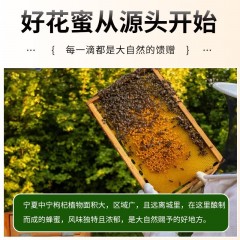 杞果小圣 枸杞花蜜商务装280G 280克（35克*8瓶）
