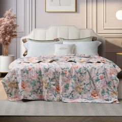富安娜(FUANNA)  清凉七孔抗菌夏被-沁·仲夏203*229cm(370g)