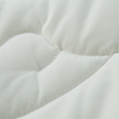 富安娜(FUANNA) 逸梦新西兰羊毛被203*229（2100g)