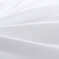 富安娜(FUANNA)  健康1+1枕 74*48cm*2
