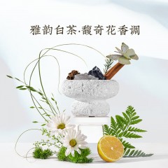 宋朝香氛 宋朝四季闲庭系列扩香石