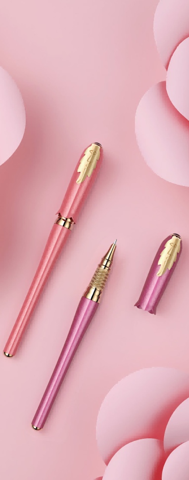 PS-986 女神财务笔套装2.png